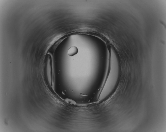 X0000091911410200709121509