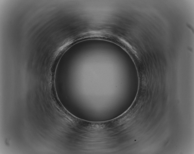 X0000091911411200709121509