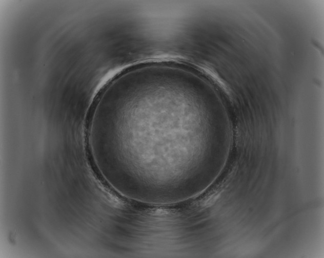 X0000091911412200709121509