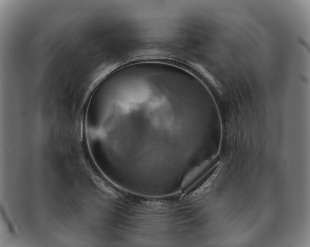 X0000091911413200709121509