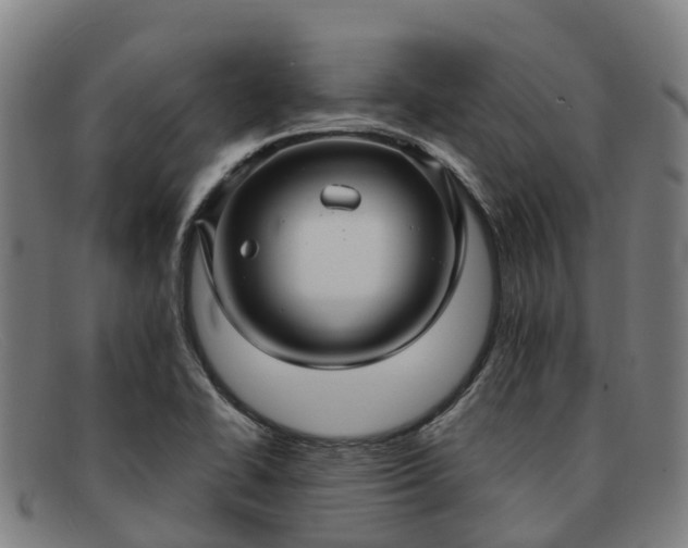 X0000091911414200709121509