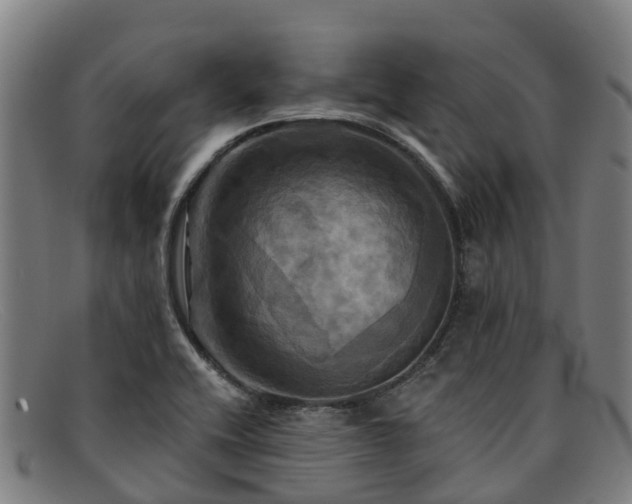 X0000091911416200709121509