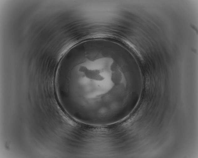 X0000091911417200709121509