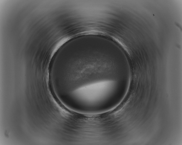 X0000091911418200709121509