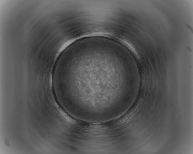 X0000091911420200709121509