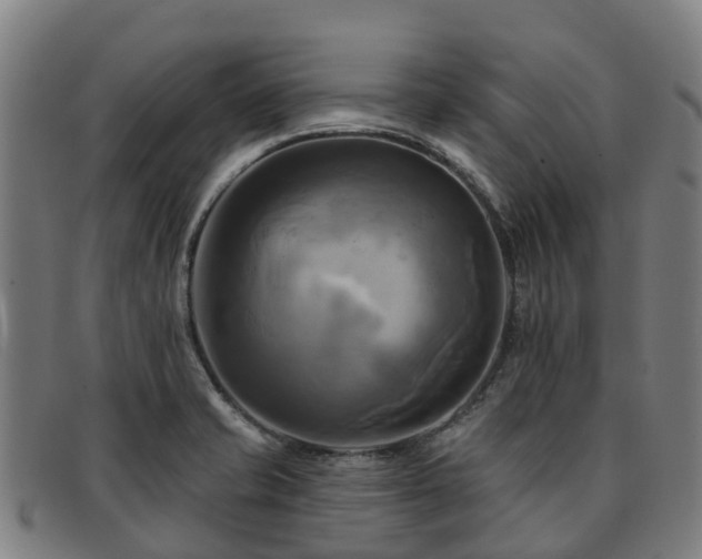 X0000091911421200709121509