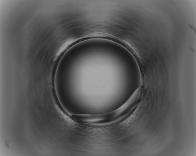 X0000091911422200709121509