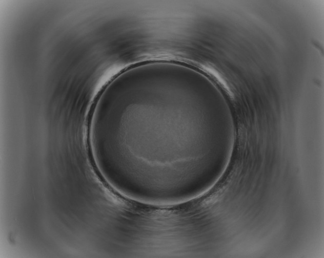 X0000091911424200709121509