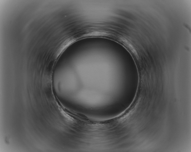 X0000091911425200709121509