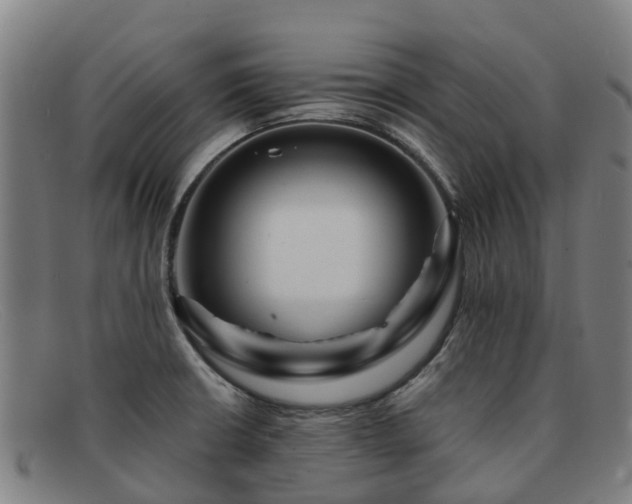 X0000091911426200709121509