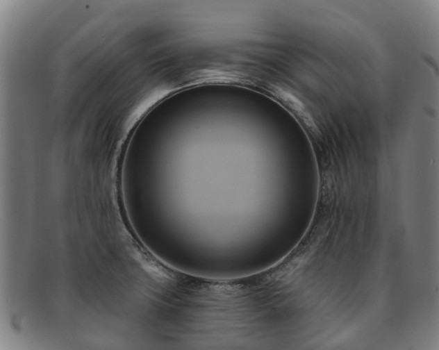 X0000091911427200709121509