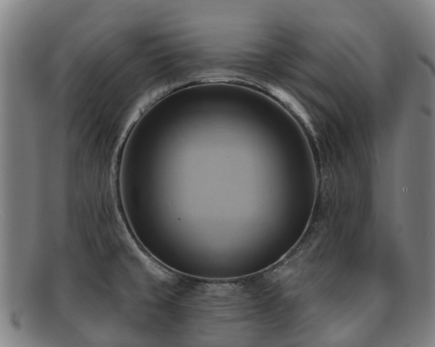 X0000091911429200709121509