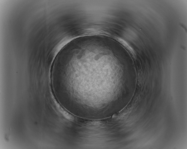 X0000091911431200709121509