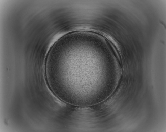 X0000091911432200709121509