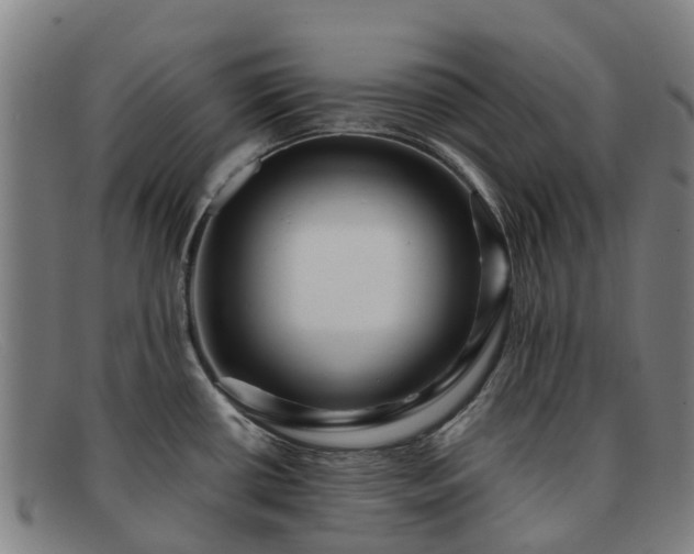 X0000091911434200709121509