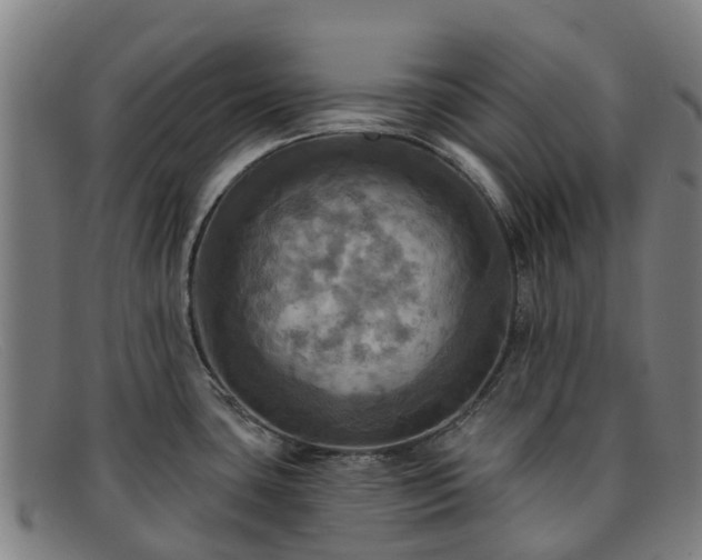 X0000091911435200709121509