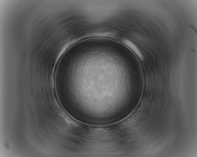 X0000091911436200709121509