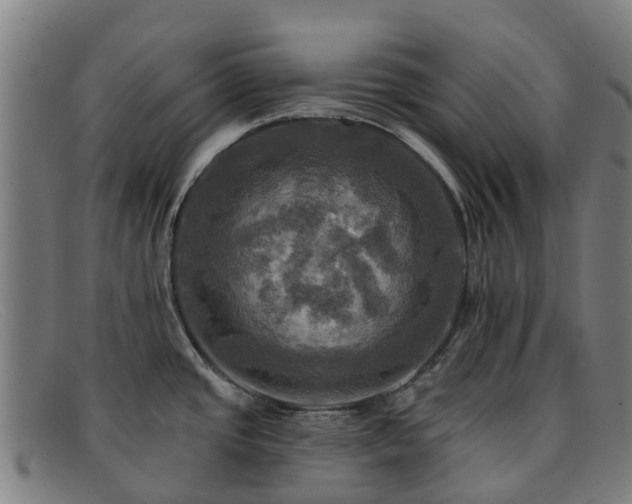 X0000091911437200709121509