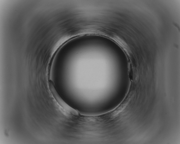 X0000091911438200709121509