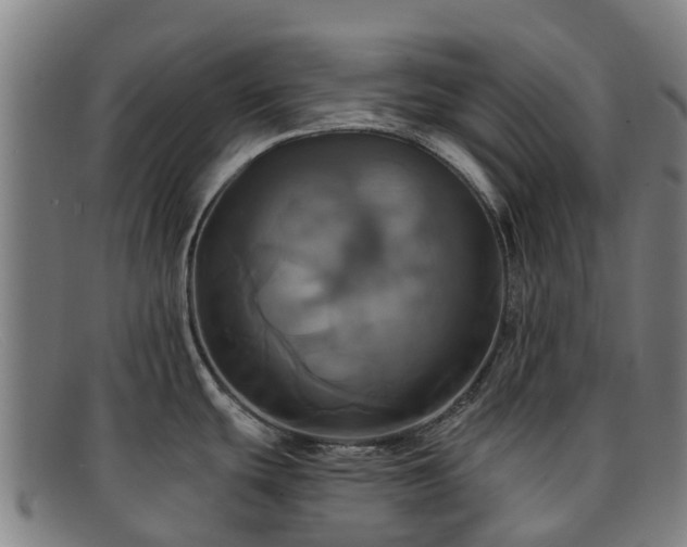 X0000091911439200709121509