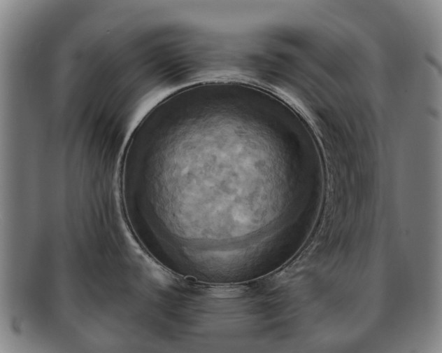 X0000091911440200709121509