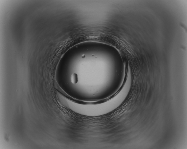 X0000091911441200709121508