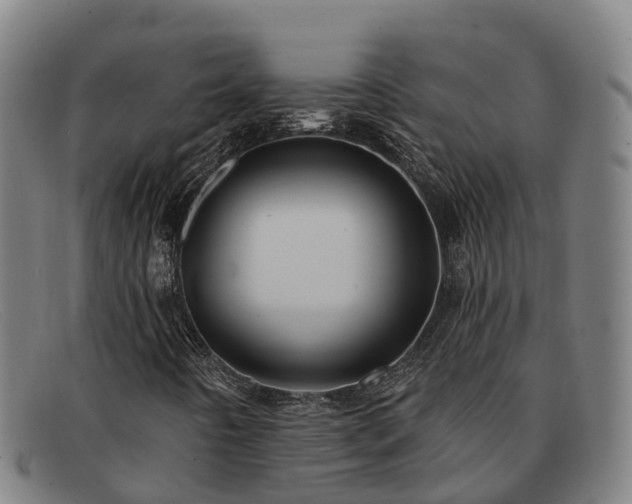 X0000091911442200709121508