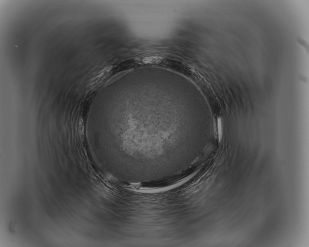 X0000091911443200709121508