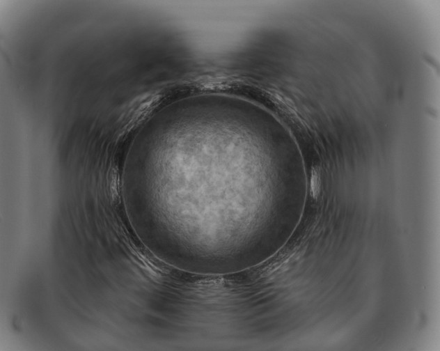 X0000091911444200709121508