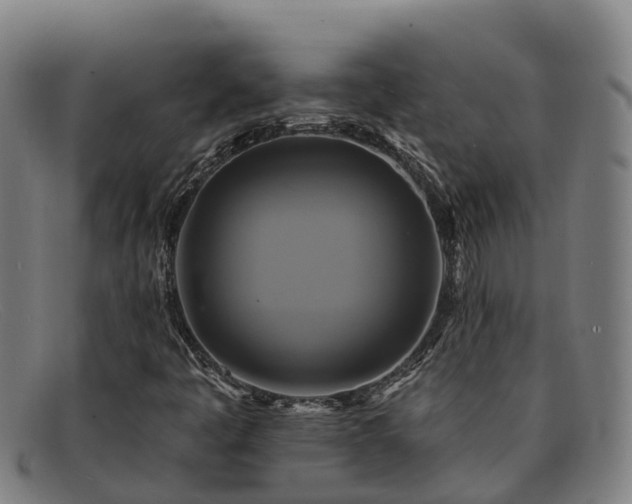 X0000091911445200709121508