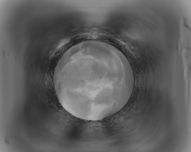 X0000091911446200709121508