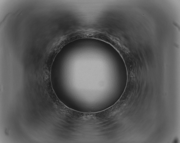 X0000091911447200709121508