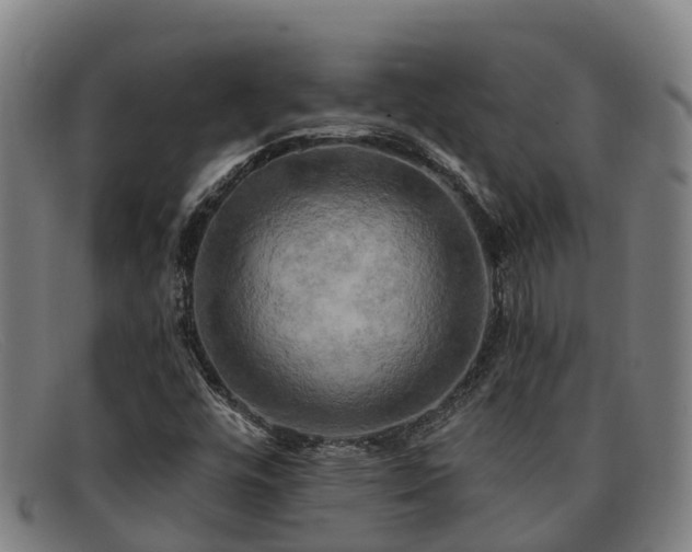 X0000091911448200709121508