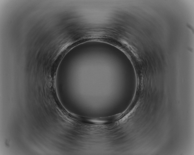 X0000091911449200709121508