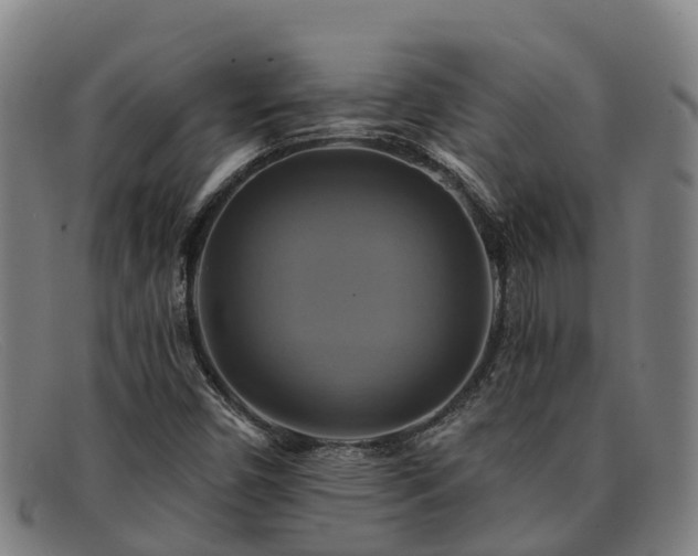 X0000091911450200709121508