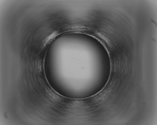 X0000091911451200709121508