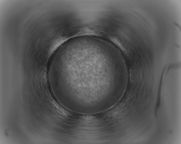 X0000091911452200709121508