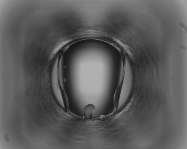 X0000091911453200709121508