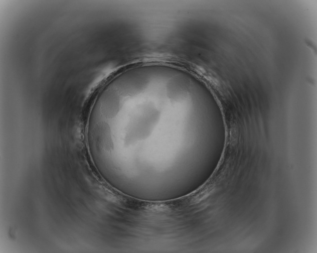 X0000091911454200709121508