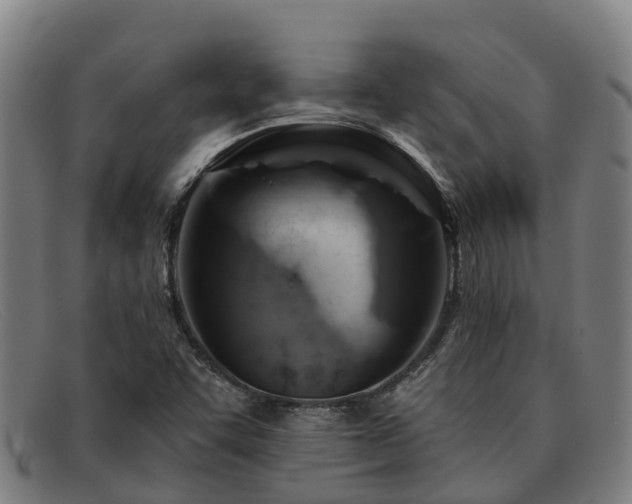 X0000091911455200709121508