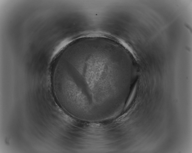 X0000091911456200709121508