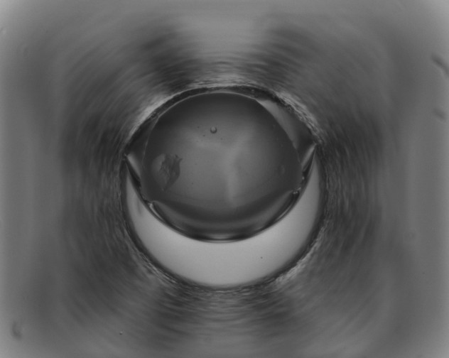 X0000091911457200709121508