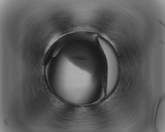 X0000091911459200709121508