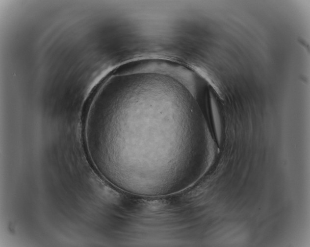 X0000091911460200709121508