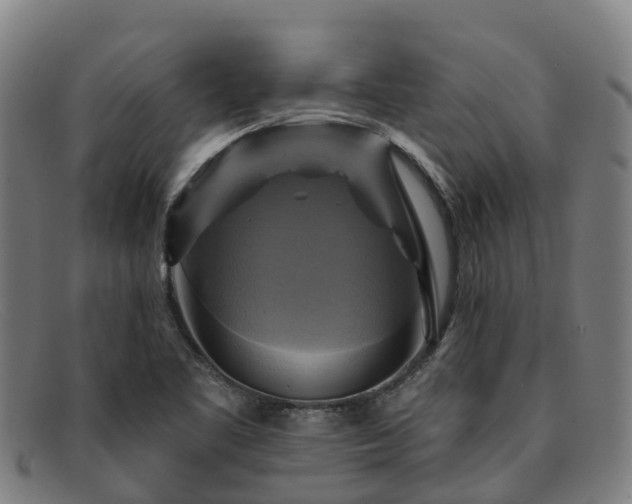 X0000091911461200709121508