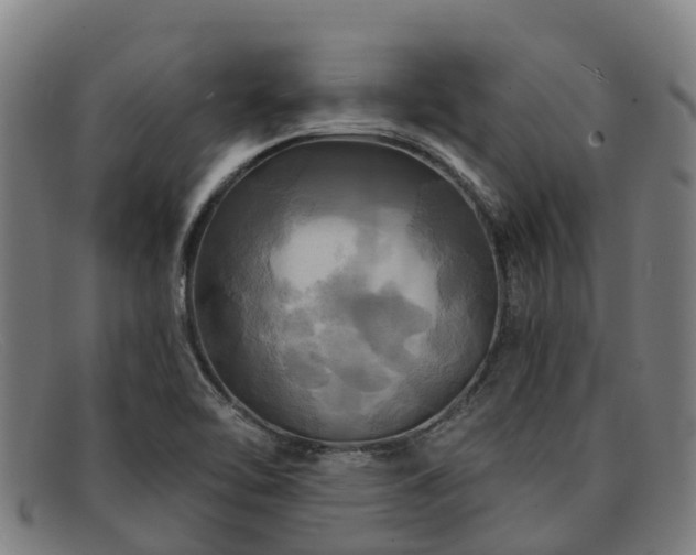 X0000091911462200709121508