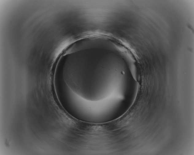 X0000091911463200709121508