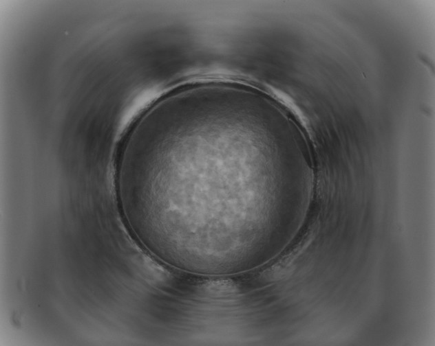 X0000091911464200709121508