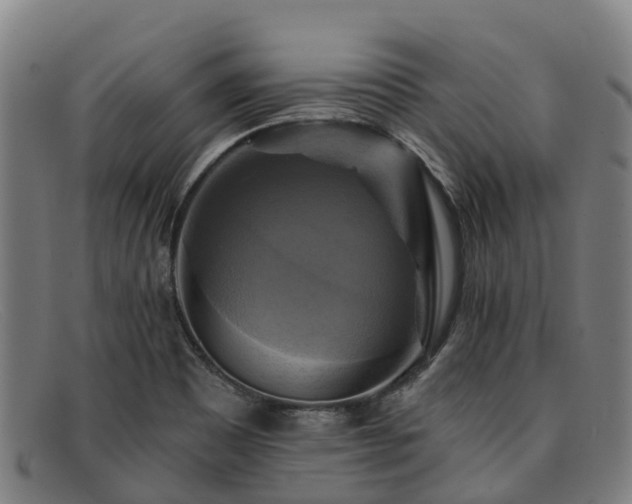 X0000091911465200709121508