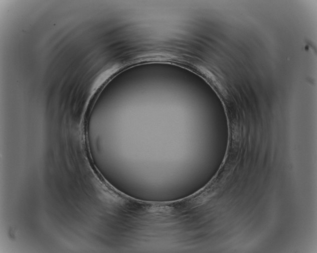 X0000091911466200709121508